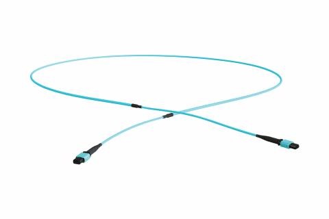 Premium MPO F- MPO F OM4 RBS Erika Violet LSZH 12F MC DJ 4.5mm (A Polarity) MPO12 - MPO12 Trunk 10M