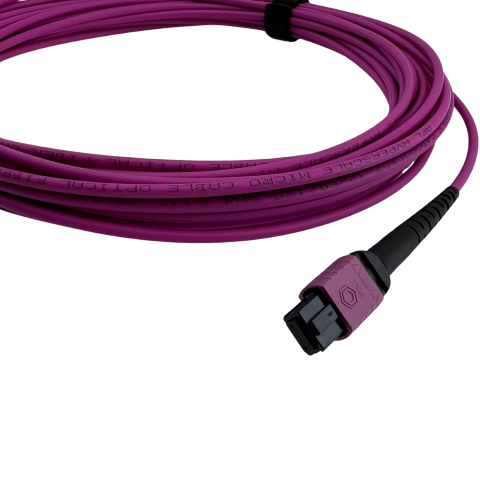 AFL Premium MPO F - MPO F OM4 RBS Erika Violet LSZH 12F MC SJ 3mm (A Polarity) MPO12 - MPO12 Trunk 10M